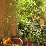 3P Loggia Parking Vieux Nice, Calme Sur Jardin