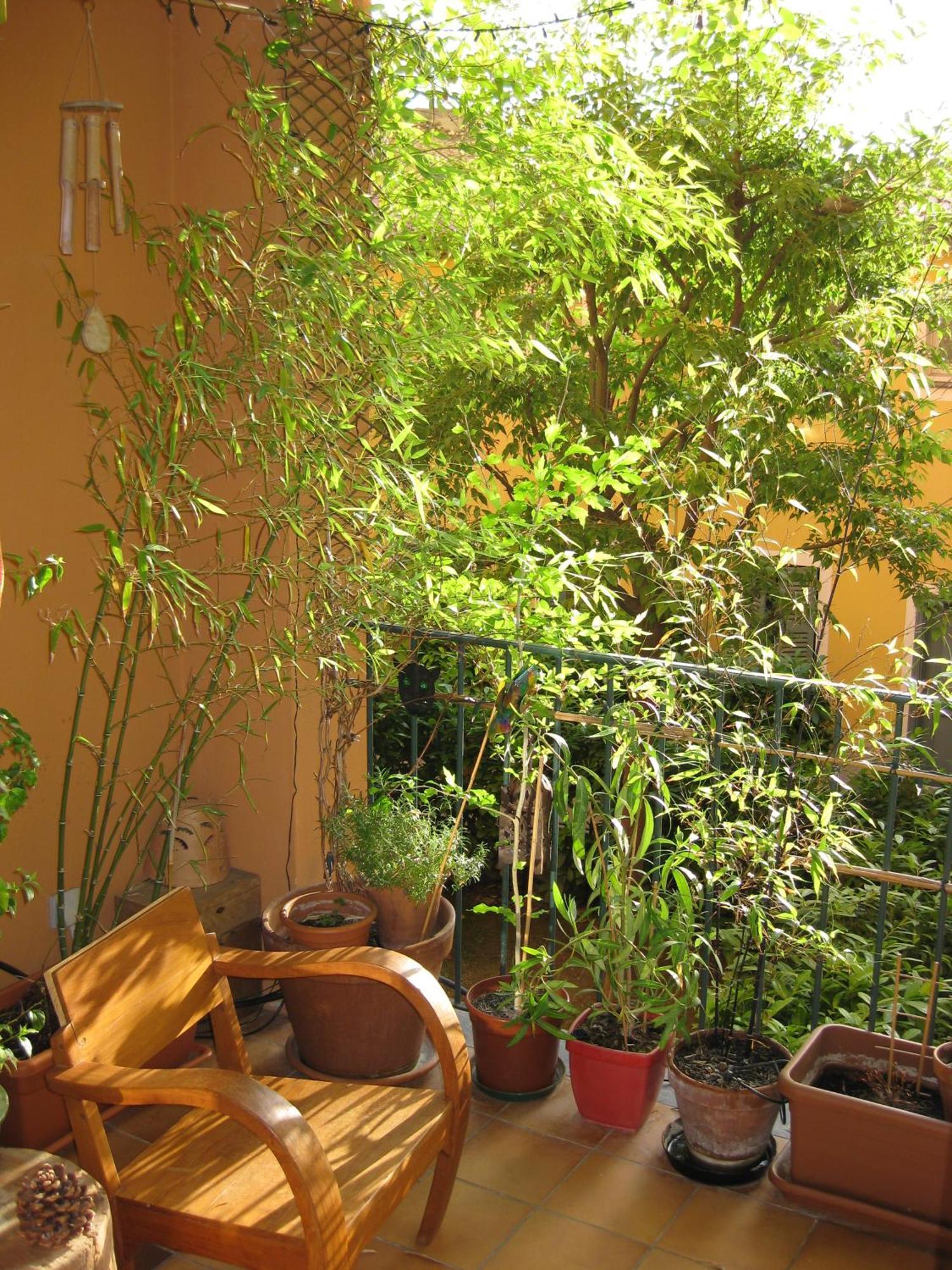 3p Loggia Parking Vieux Nice, Calme Sur Jardin * Nizza